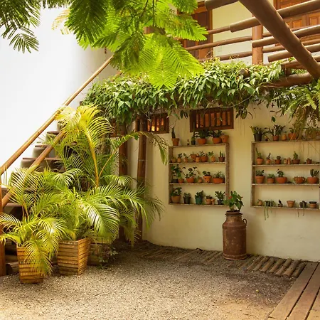Casa de Paixão Caraíva-3